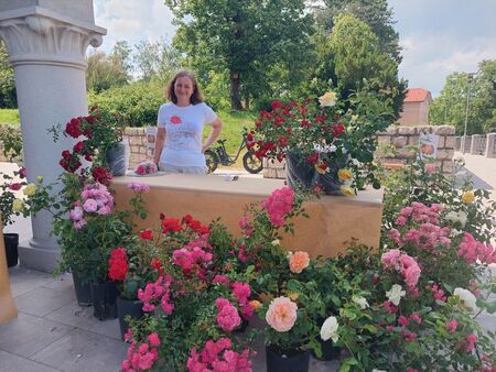 Irena Kodele Krašna